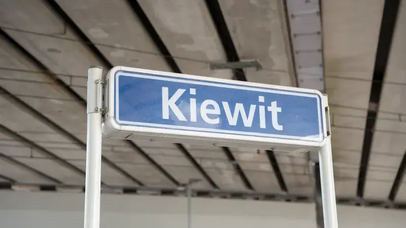 Hoofdafbeelding voor artikel Vernieuwd station Kiewit maakt…