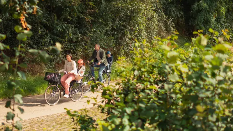 Hoofdafbeelding voor artikel Limburgse burgemeesters dagen…