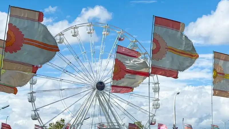 Hoofdafbeelding voor artikel LIVEBLOG: Opstaan feestvierders,…