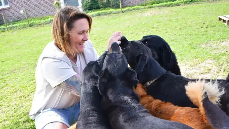 Hoofdafbeelding voor artikel Dieren