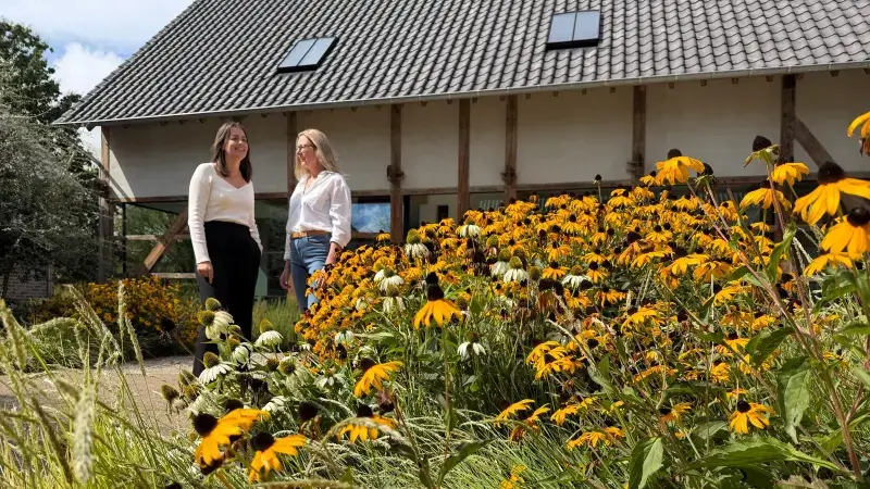 Hoofdafbeelding voor artikel Limburg boekt net geen recordzomer…