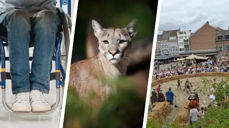 Hoofdafbeelding voor artikel TVL Nieuws, 30 augustus 2026