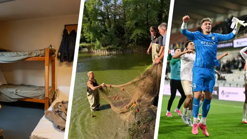 Hoofdafbeelding voor artikel TVL Nieuws, 2 september 2026