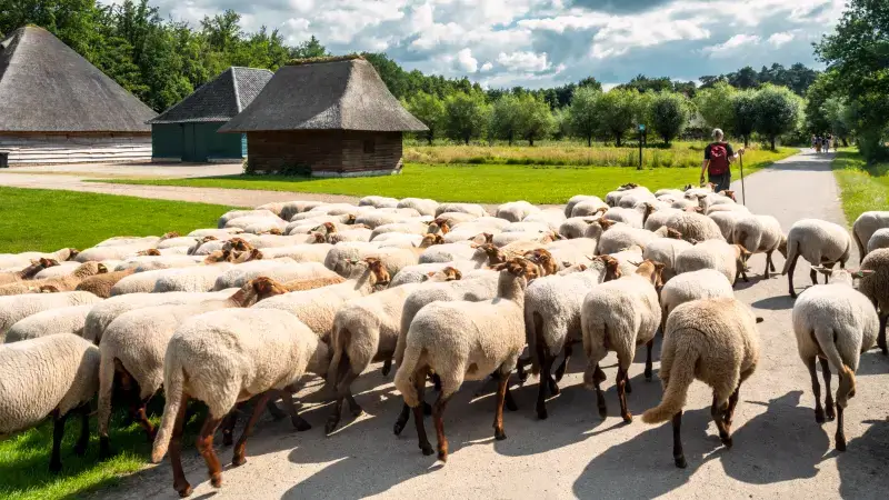 Hoofdafbeelding voor artikel Bokrijk voor vierde keer erkend…