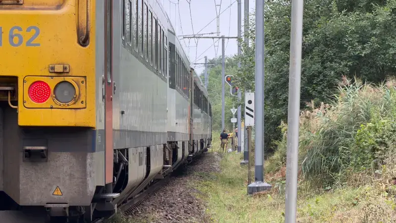Hoofdafbeelding voor artikel Trein Hasselt-Mol rijdt op…