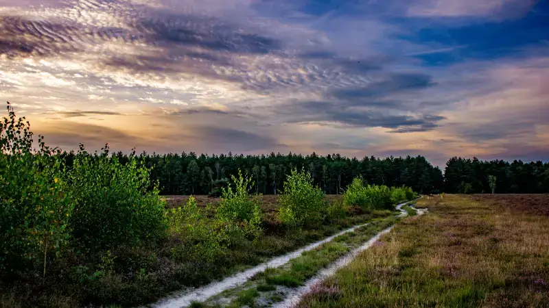 Hoofdafbeelding voor artikel Limburg verloor 3.470 hectare…