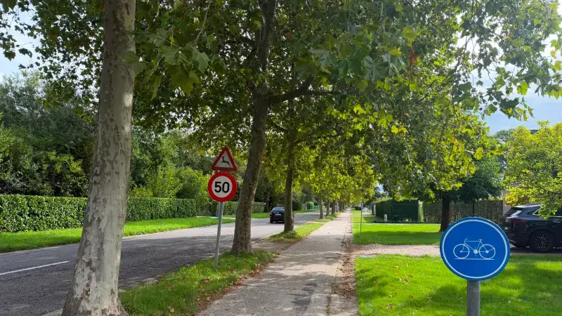 Hoofdafbeelding voor artikel Platanenkap Runkstersteenweg…