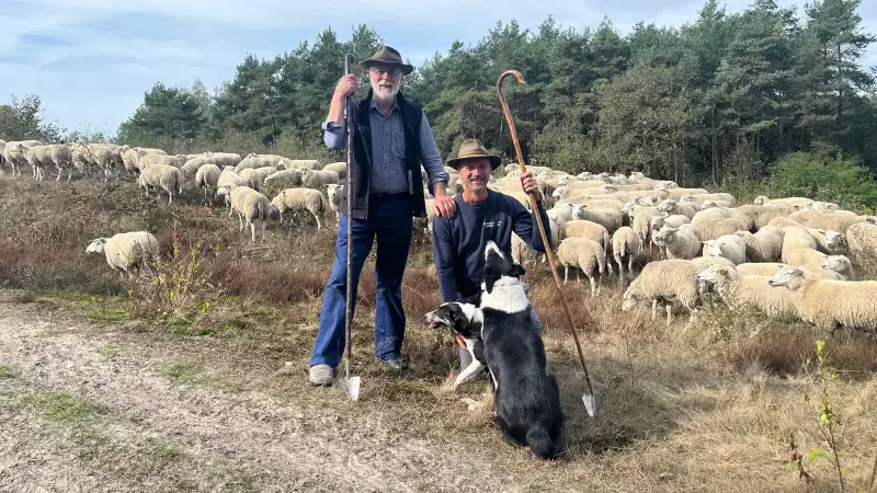 Hoofdafbeelding voor artikel Herderstocht zoekt nog &eacute;&eacute;n…