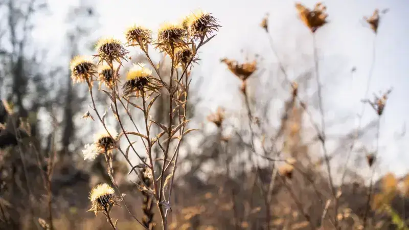 Hoofdafbeelding voor artikel Droogte zorgt niet voor drinkwaterprobleem…
