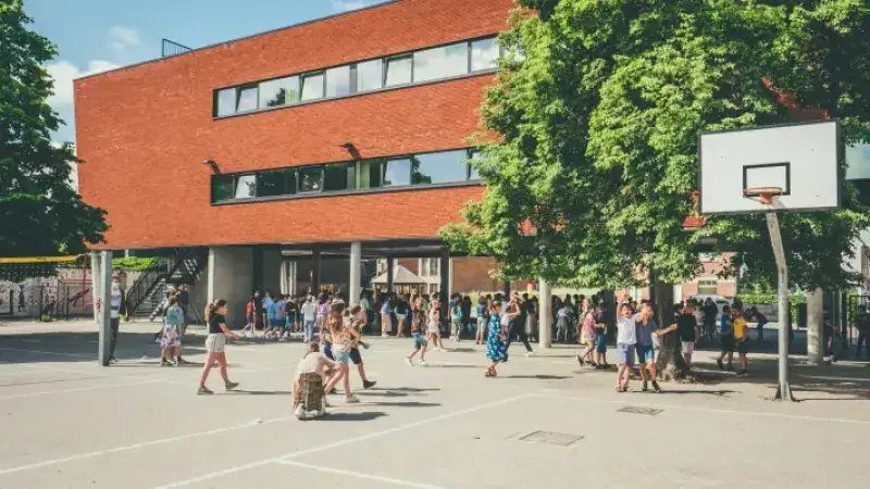 Hoofdafbeelding voor artikel Zeeklassen basisschool SBS…