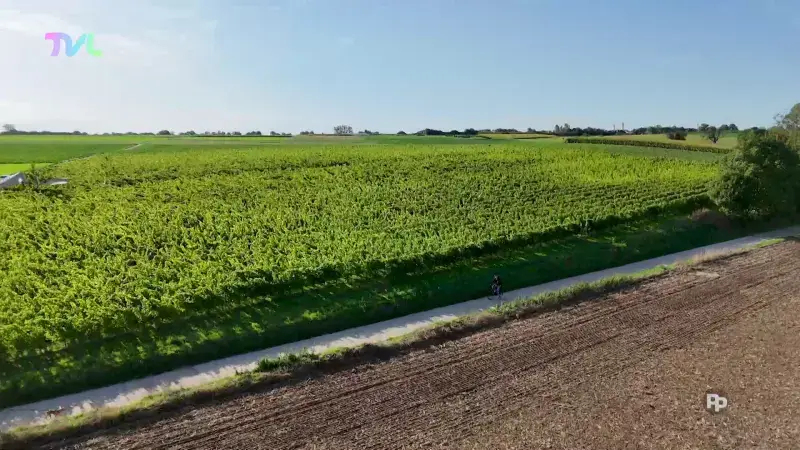 Hoofdafbeelding voor artikel VAN VELD NAAR VORK - aflevering…