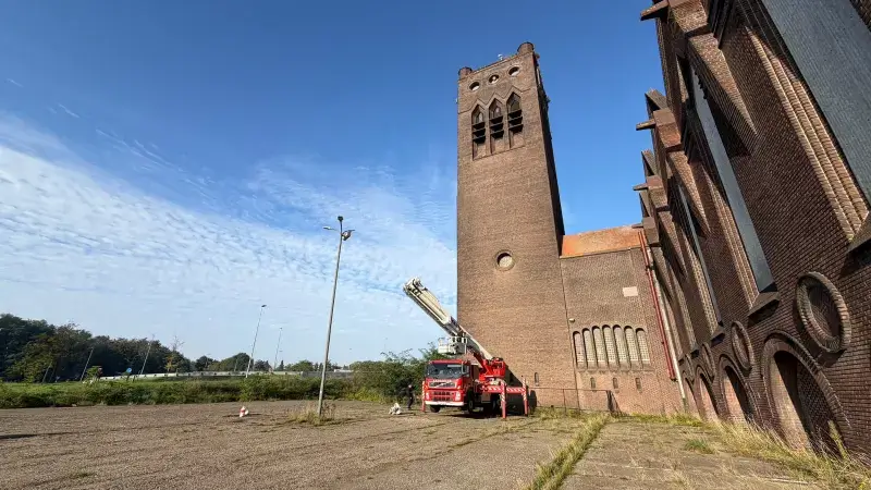 Hoofdafbeelding voor artikel Hoornaarsnest verwijderd van…