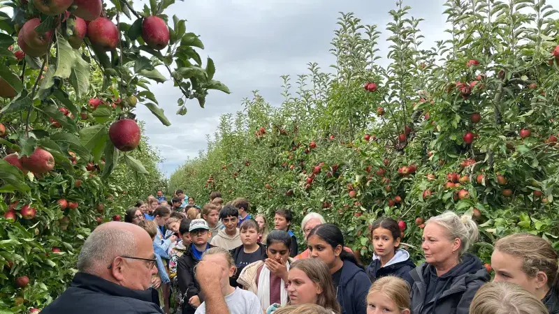 Hoofdafbeelding voor artikel Leerlingen redden appels met…