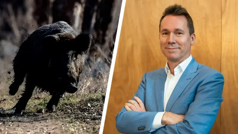Hoofdafbeelding voor artikel Minister Brouns wil meer drukjachten…