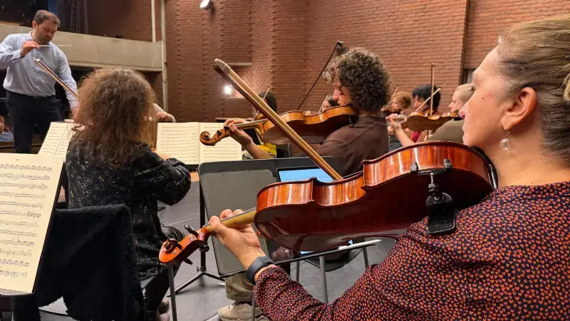 Hoofdafbeelding voor artikel Limburgs symfonisch orkest…