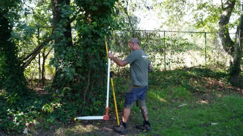 Hoofdafbeelding voor artikel Onderhoud waardevolle bomen…