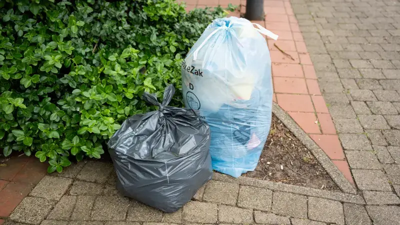Hoofdafbeelding voor artikel Limburg.net indexeert jaarlijkse…