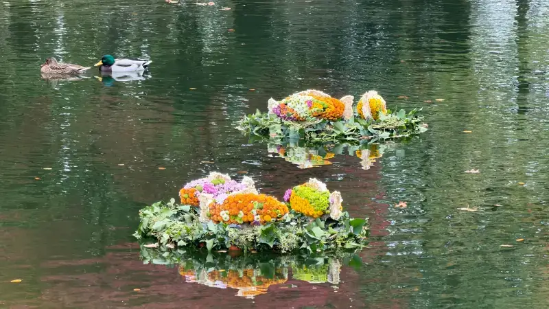 Hoofdafbeelding voor artikel Chrysantenfestival lokt de…