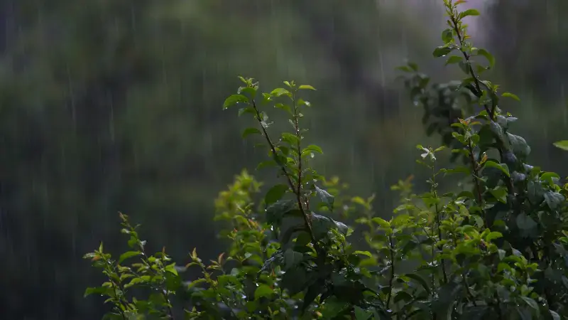 Hoofdafbeelding voor artikel Storm Austen bereikt morgen…