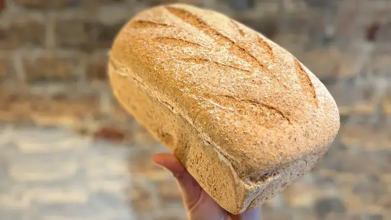 Hoofdafbeelding voor artikel Nieuw brood van Haspengouwse…