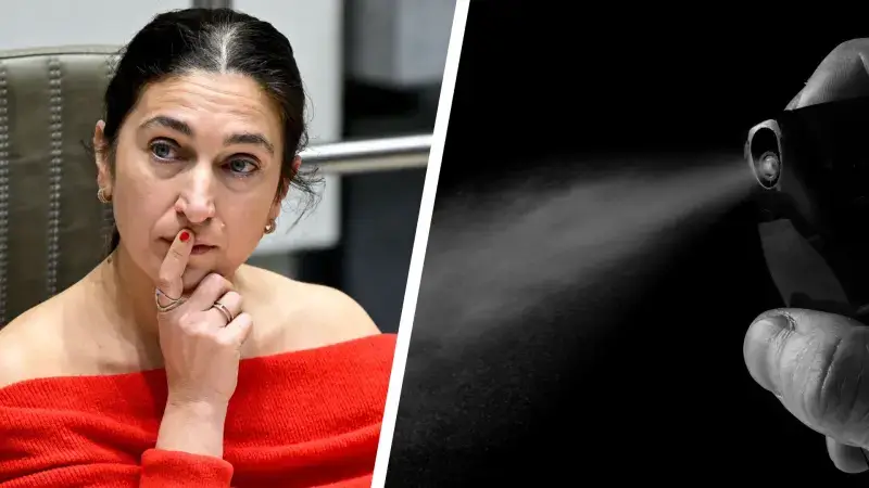 Hoofdafbeelding voor artikel Vlaams minister Zuhal Demir…