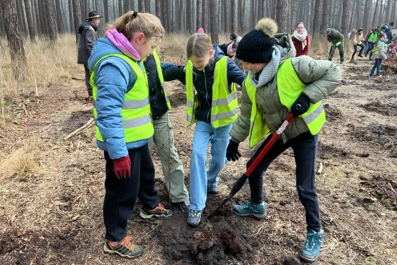 Kinderen helpen met aanplanten van 2.500 loofbomen in Nationaal Park Bosland