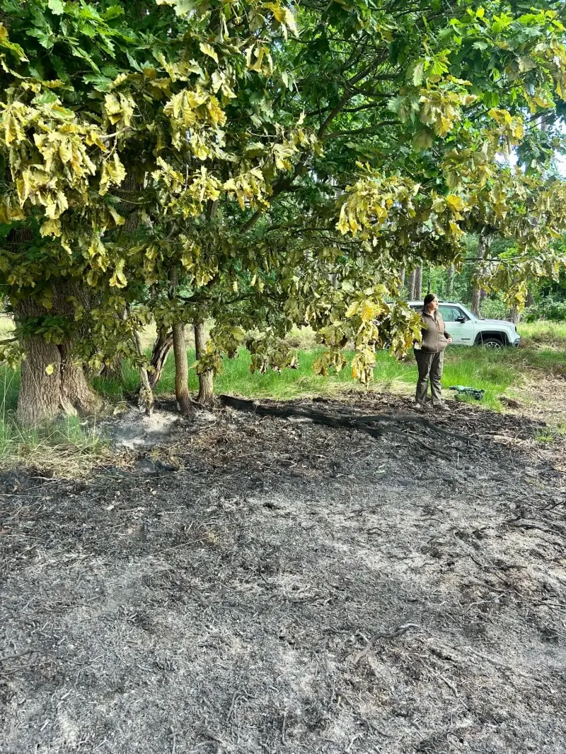 Agentschap Natuur en Bos meet schade op na heidebrand