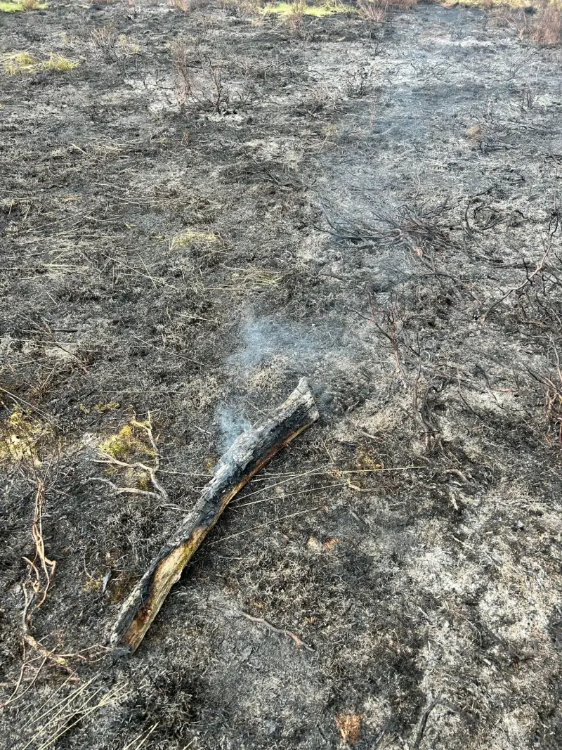Heidebrand in As en Maasmechelen onder controle, geurhinder blijft aanhouden