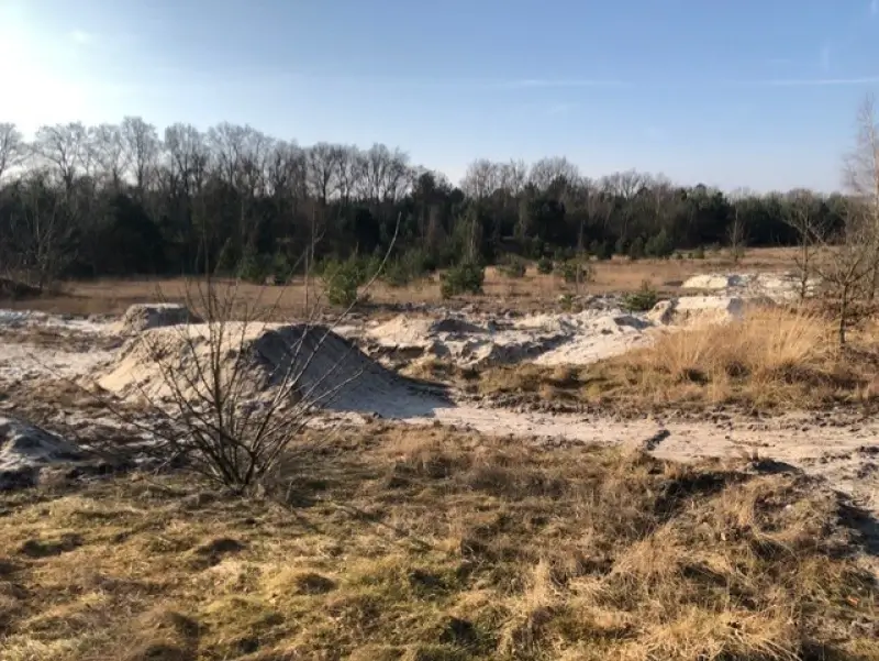 Natuurpunt Lommel dient klacht in voor vernielingen aan natuurgebied Balimheide