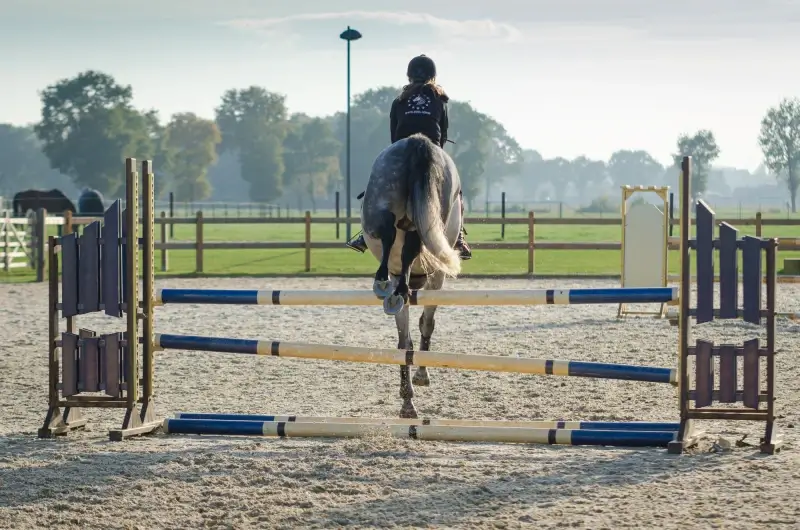 Stad Peer zoekt privé-uitbater voor manegedeel van Breugelhoeve