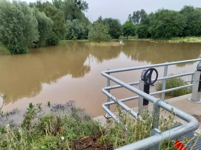 Nieuwe overstromingszone in Hoeselt bewijst meteen haar nut