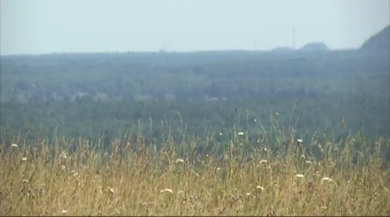Code rood in Limburgse natuur: extreem hoog brandgevaar