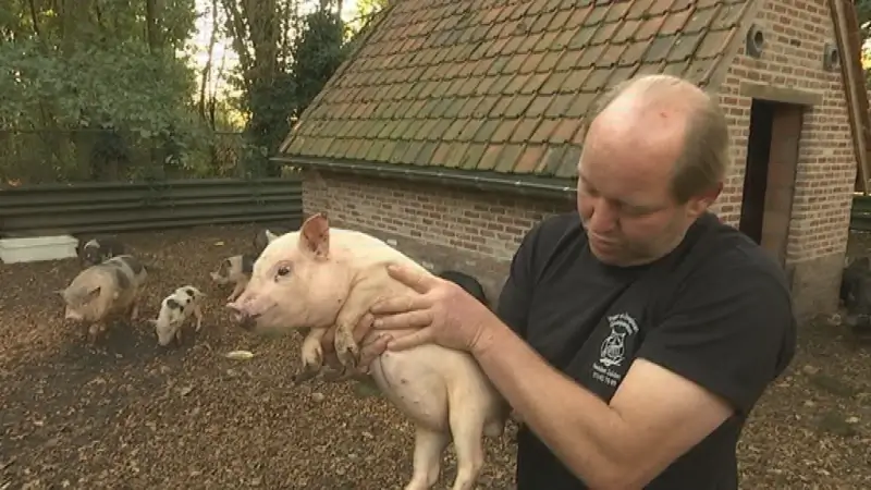 Rechtbank veroordeelt bezieler van vogel- en zoogdierencentrum tot drie maanden cel met uitstel
