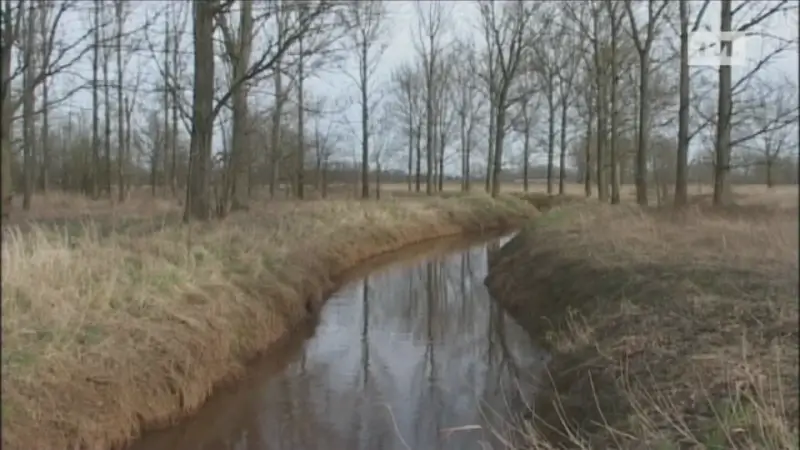 Provincie bouwt overstromingszone van 4 ha in Hoeselt