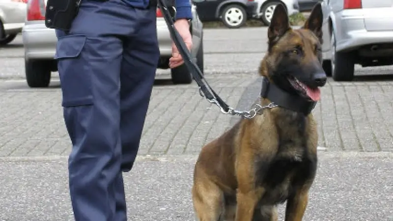 Politie CARMA rouwt om politiehond Itan