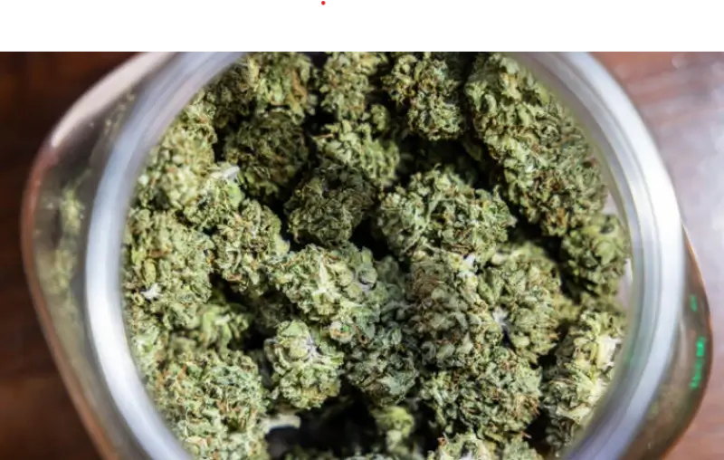 Parket van Limburg wil nultolerantie rond drugs