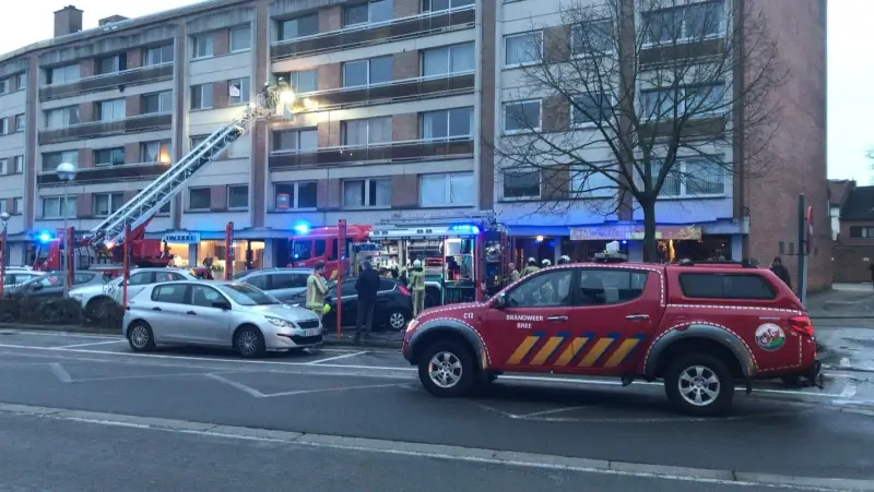 Twee kinderen gered uit brand in Bree