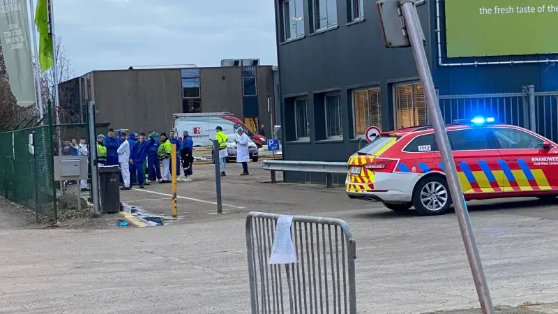 Gebouw ontruimd nadat oven vuur vat bij Truiense frietproducent
