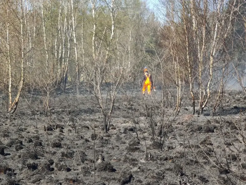 Heidebrand aan vliegveld van Zwartberg