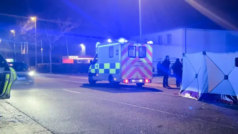 Hoofdafbeelding voor artikel Dodelijk verkeersongeval aan…