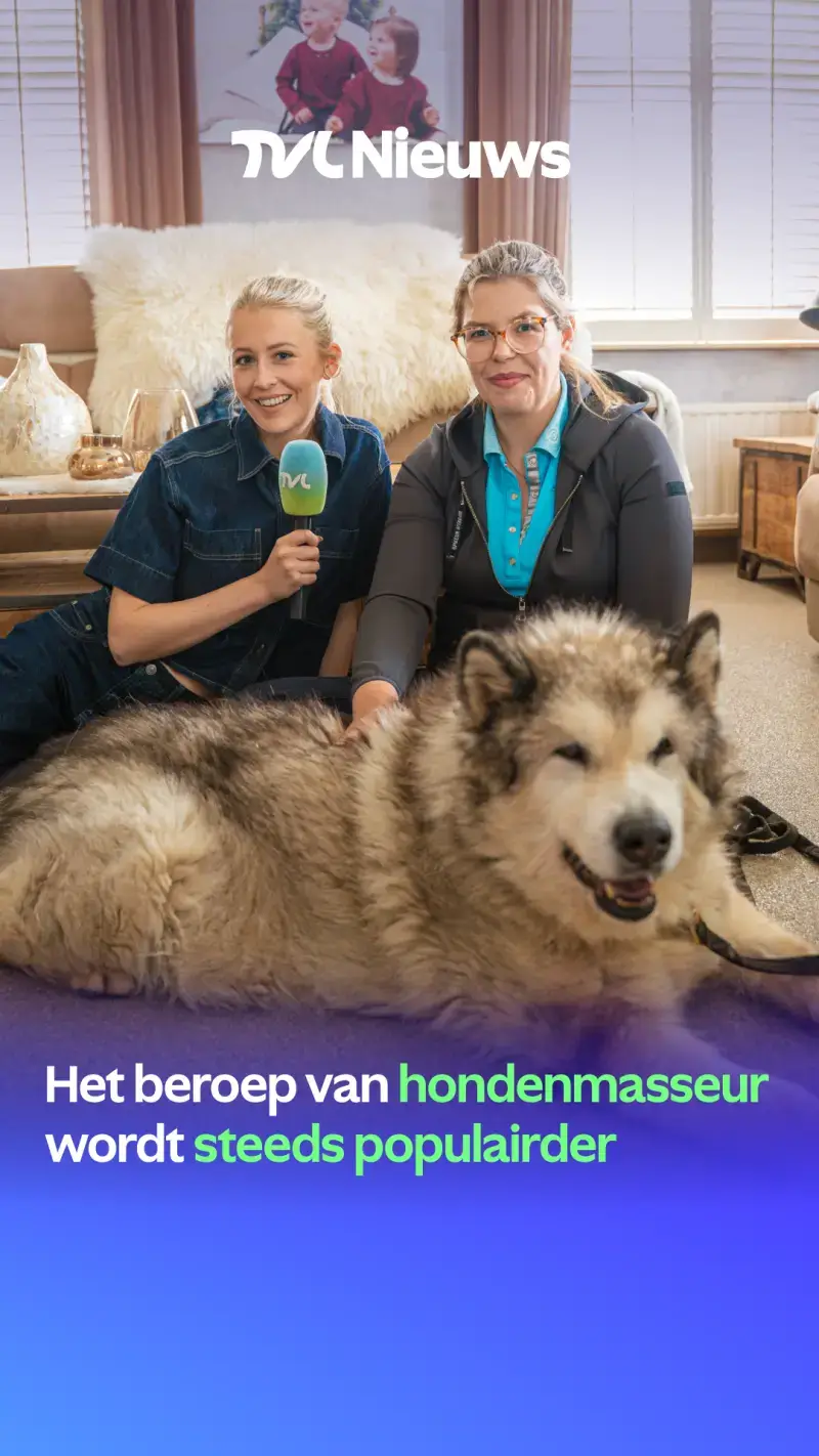 Hondenmassage