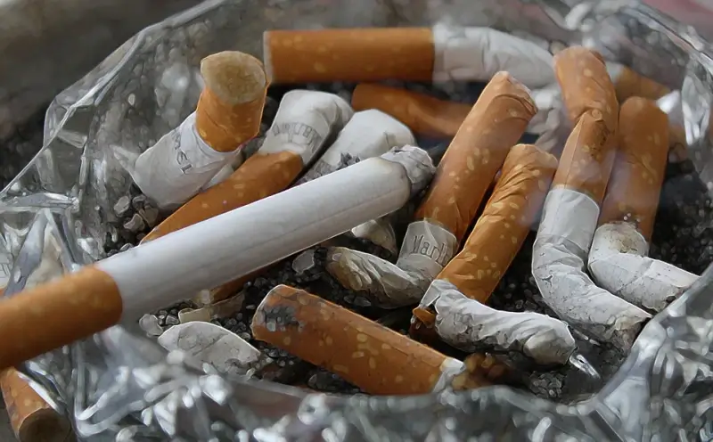 "Beboet zowel uitbaters als rokers bij schending rookverbod"