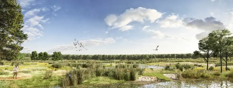 Blue Deal investeert miljoen euro voor bufferen van hemelwater in Bokrijk