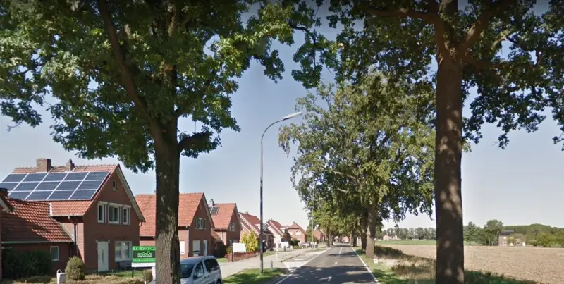 18 bomen op Gruitroder- en Breekiezel in Bree worden gekapt