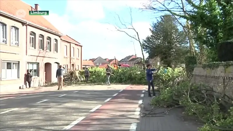 Limburg zet zich schrap voor storm Ciara