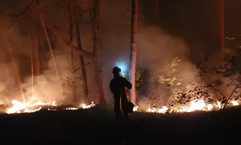 Twee hectare natuur afgebrand in Leopoldsburg
