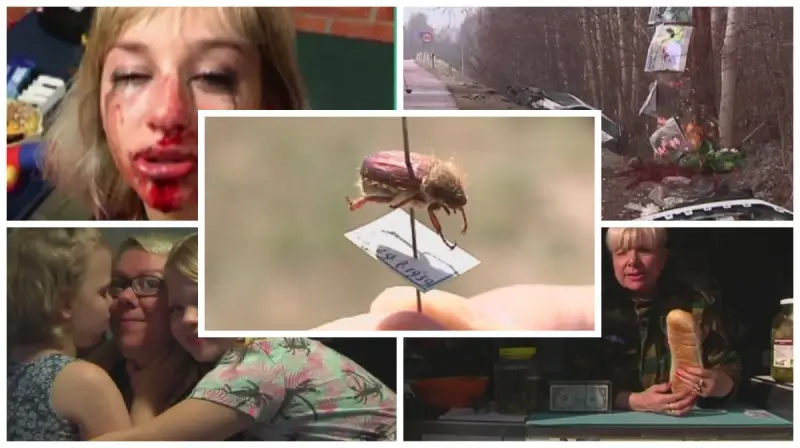 Deze 5 video's bekeken jullie het meest in 2017