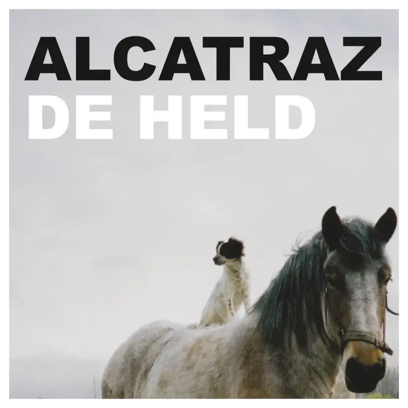 Hasselaar De Held komt met tweede single
