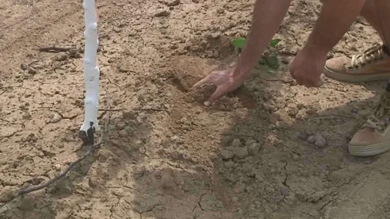 Brandweer waarschuwt voor droogte: let op met vuur!