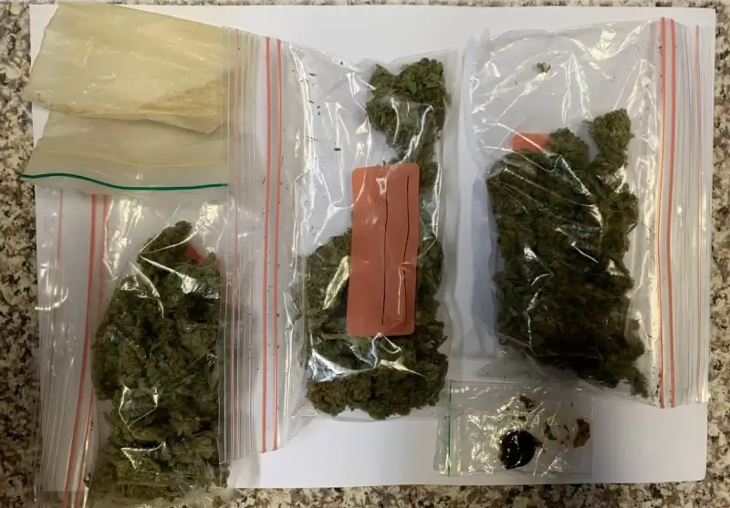 Agenten voeren extra drugscontroles uit op buslijnen tussen Nederland en België